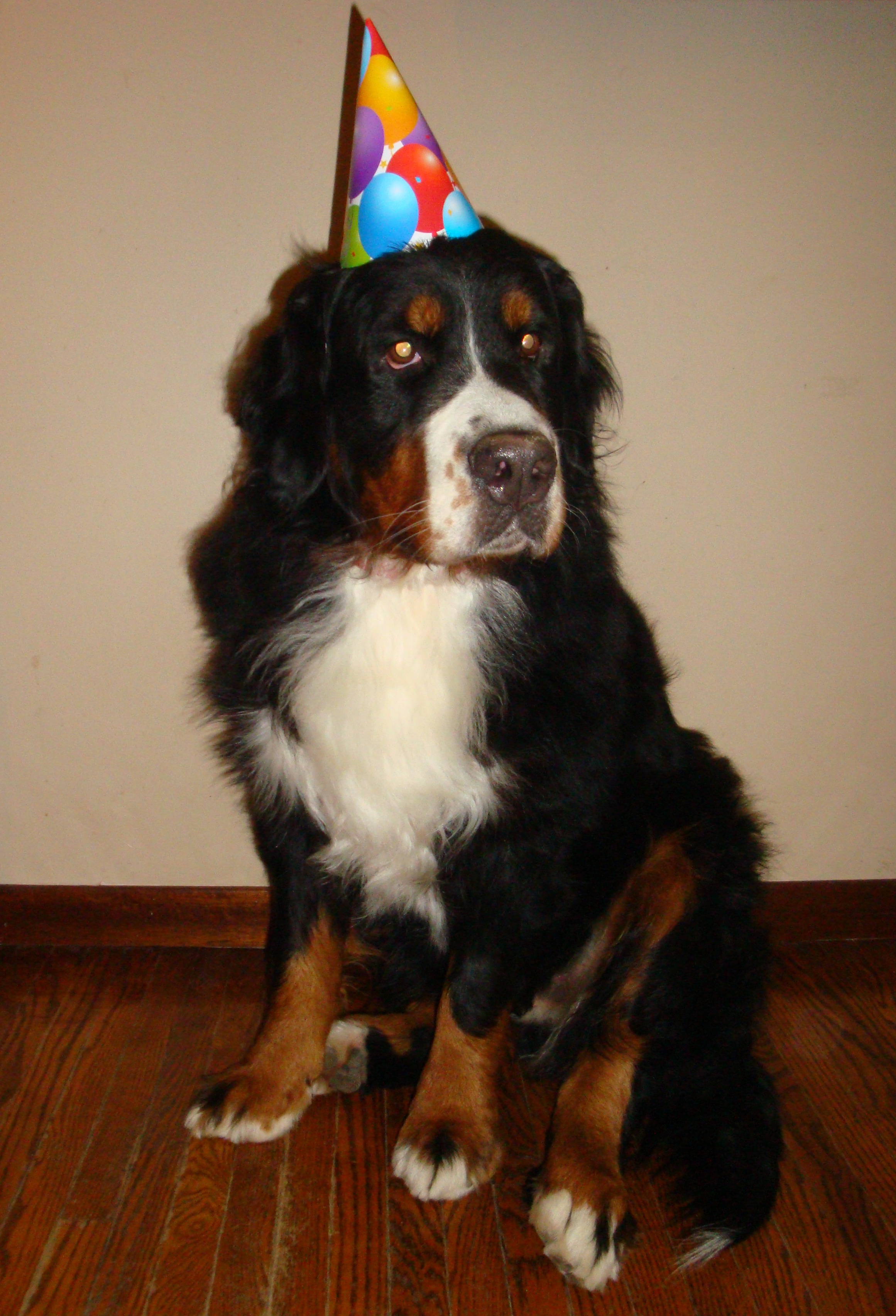 Bday girl LUCY Bday girl LUCY